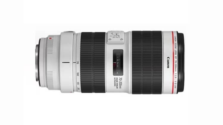 canon-zoom-prime-lens-rental-satpura-bori-safari-national-park