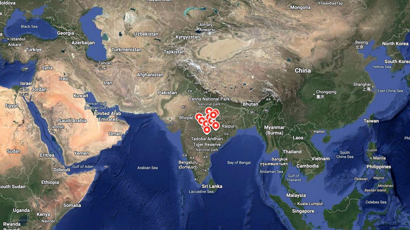 why-visit-central-india-tiger-safaris-best-tour-destination-noah-operator