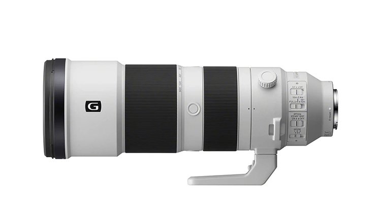 sony-200-600-zoom-lens-rental-bandhavgarh-safaris