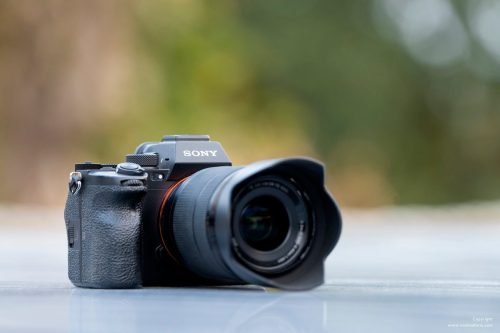 sony-camera-rental-pench-bandhavgarh-satpura