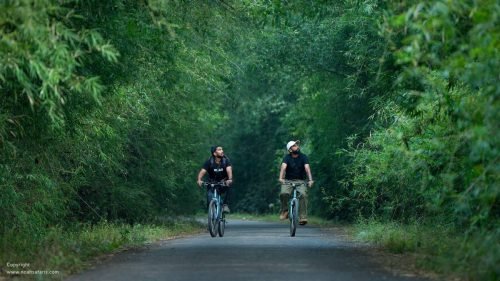 cycling-tour-national-park-central-india-tiger-safaris-pench