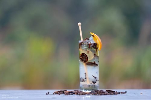 tequilla-pineapple-lemon-juice-jalapeno-rosemary-juniper-berry-syrup-cocktail-spicy-juniper