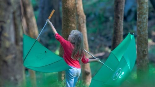 guest-safaris-kids-jungle-lodges-camps-nature-young-naturalist